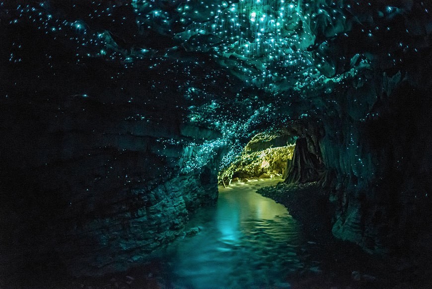 Grottes de Nouvelle-Zélande