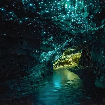 Grottes de Nouvelle-Zélande