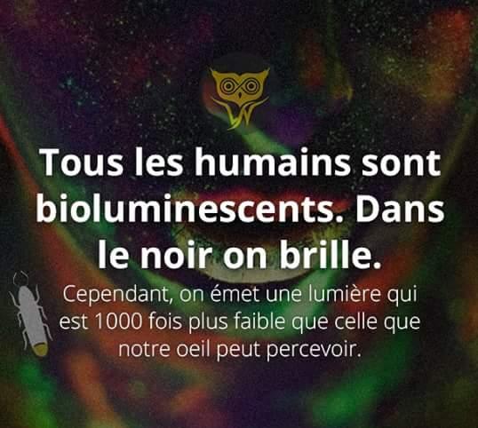 L'Humanité bioluminescente